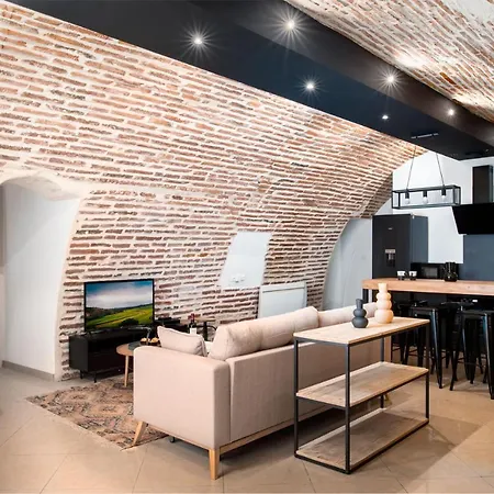Appartement Le Rinaldi Loft à Albi Extérieur photo