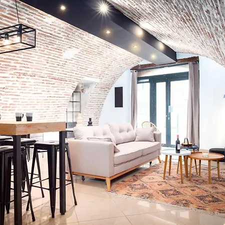 Appartement Le Rinaldi Loft à Albi Extérieur photo